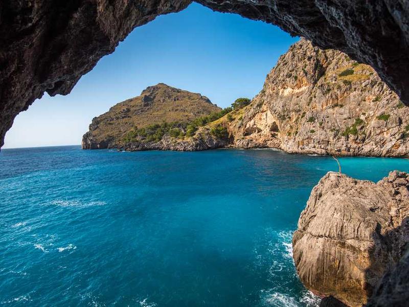 感情的なニーズの伝え方