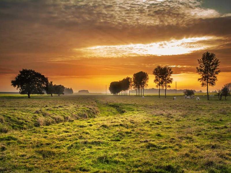 愛の言語:パートナーの感情を理解し、伝える方法