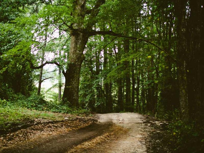 キンクとフェティッシュを一緒に理解し、探求する