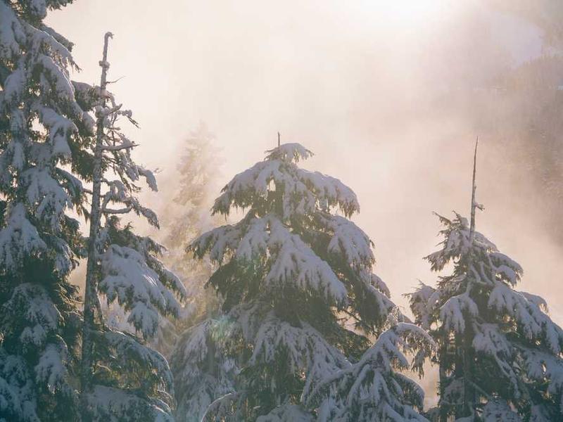 大学の先生と結婚した私